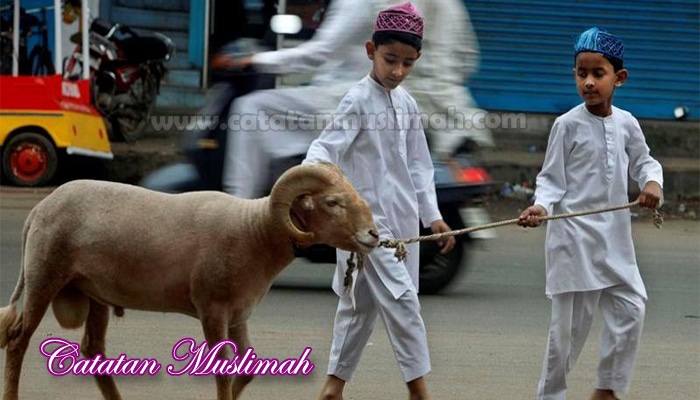 Sunnah Sunnah Yang Dilakukan Saat Idul Adha